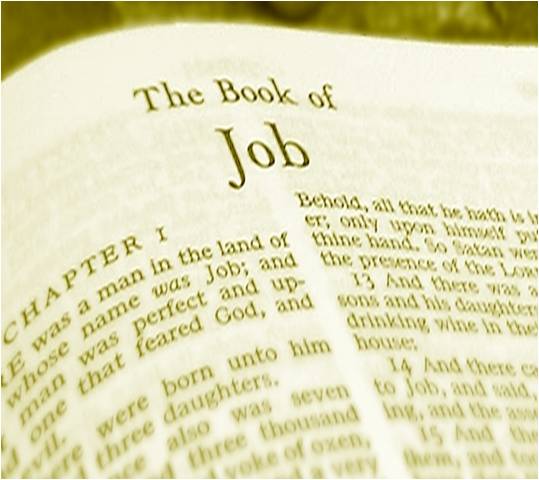 The book of job was written by