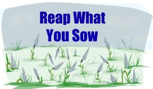 Reap What You Sow - Ribbet design with photo free from www.sketchport.com