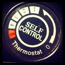 Self Control Thermostat - www.flckr.com - free